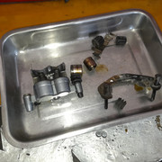 20210619-113459.jpg