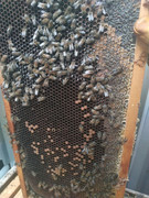 photo_2020-06-16_07-17-27