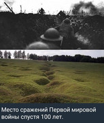 https://i.postimg.cc/757NYr0B/photo-2026-07-31-18-16-33.jpg