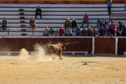 IMG-0394