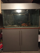 D6281585-1811-4589-98A7-BD7CEF131DDF