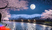 reflect-7