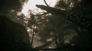 IMG-2863