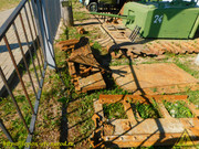 DSCN8924