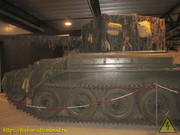 IMG-4587