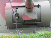 IMG-3662