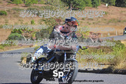 IMG-2391