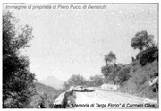Targa Florio (Part 4) 1960 - 1969  - Page 14 1969-TF-206-005b