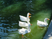 photo 8 2025 12 12 16 30 14