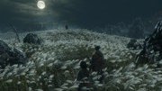 SEKIRO-SHADOWS-DIE-TWICE-Screenshot-2023-01-05-17-16-48-02
