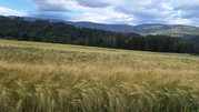 IMG-20260601-174013715