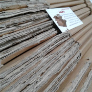 carton-mohammad (186)