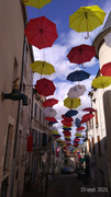 P-20200925-141432-p.jpg