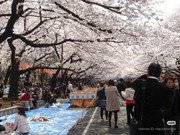 photo 34 2025 12 24 16 27 05