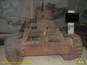IMG-5987