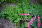 DSC00440