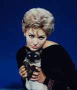 kim-novak-491