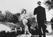dany-saval-b43