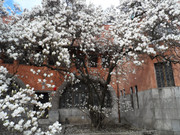 https://i.postimg.cc/75w5TyqK/337417907-1265202414382484-5205318160975923747-n.jpg