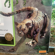 Transformers-Rise-Of-The-Beasts-Maximals-11