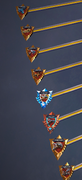 crossbow
