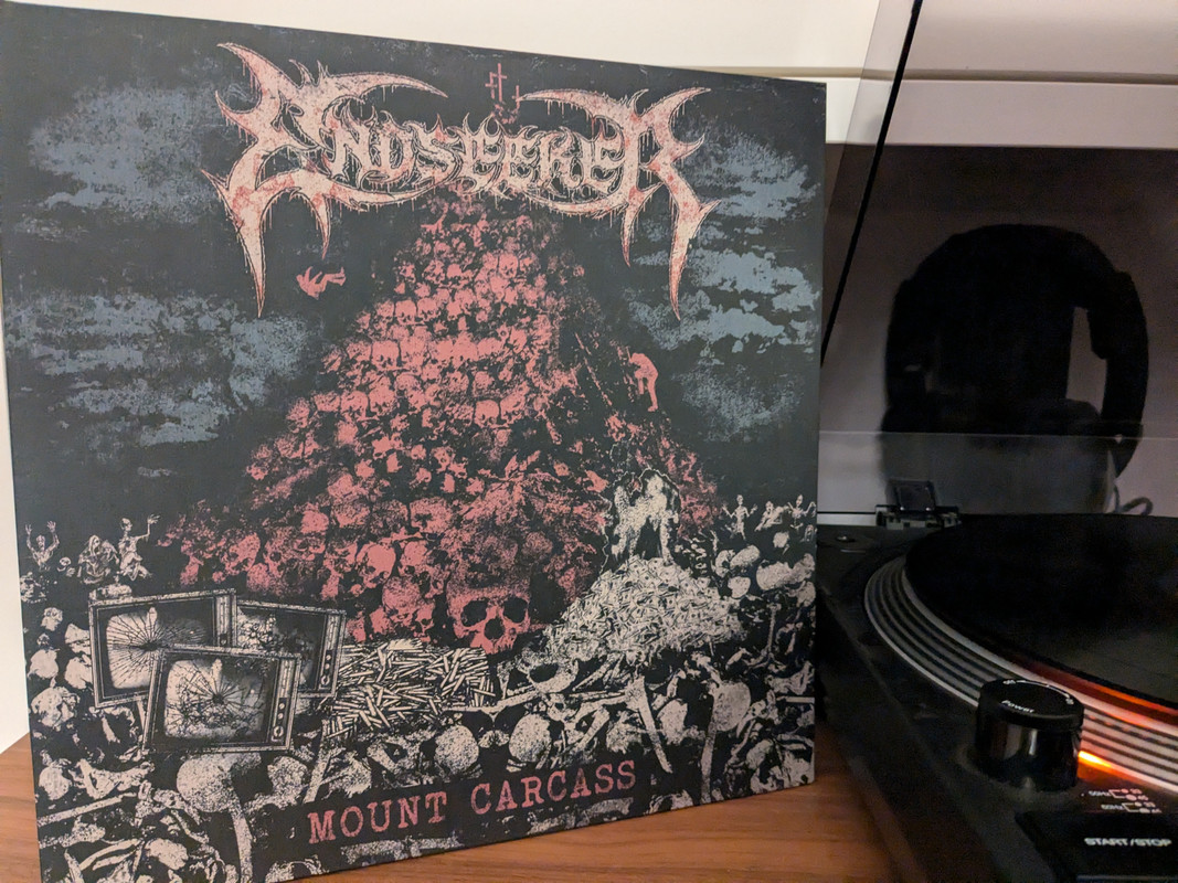 PXL_20241115_222027443