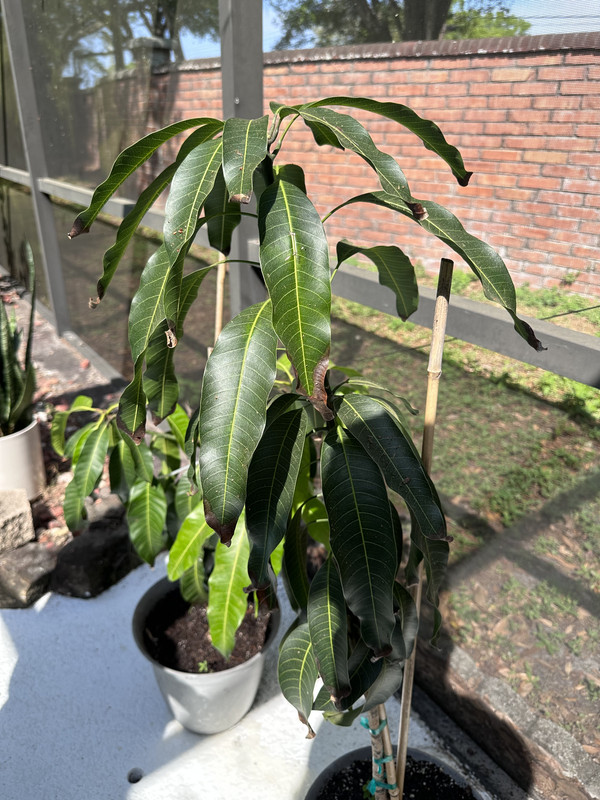 7BDED051-8C4A-4EFB-9219-C2E40C4189E9