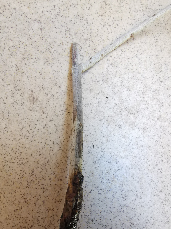 Obrázek WhatsApp, 2025-07-01 v 10.17.02_0c93ca97