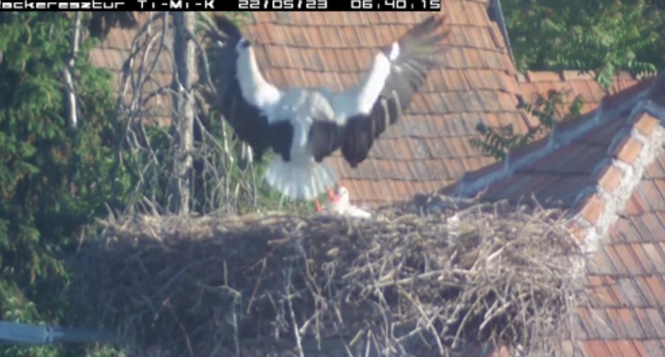 2022-05-23_074620érkezik