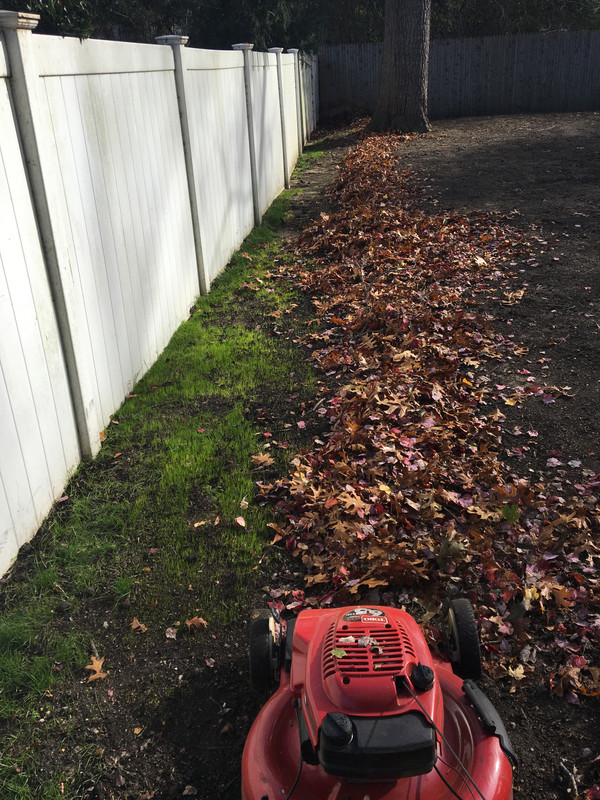 2A2DF52C-43A1-44D2-B5B6-55D30CB313E1