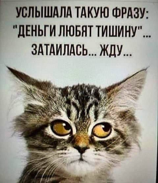 зображення_2025-10-09_160411922