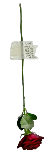 rose