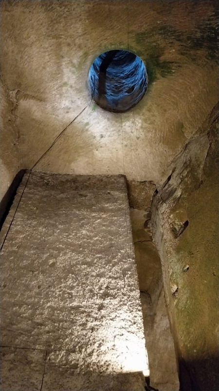 WhatsApp Image 2023-10-12 at 21.12.01 (1)