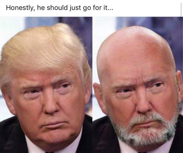 [Image: Trump-bald.jpg]