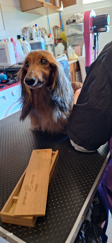 [Image: 20250305-152957.jpg]