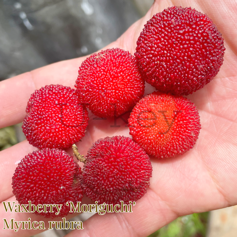 C07BC65B-84D5-450D-833C-5AACDD0410BA