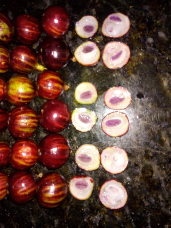 WhatsApp Image 2020-12-20 at 00.10.49 (14)