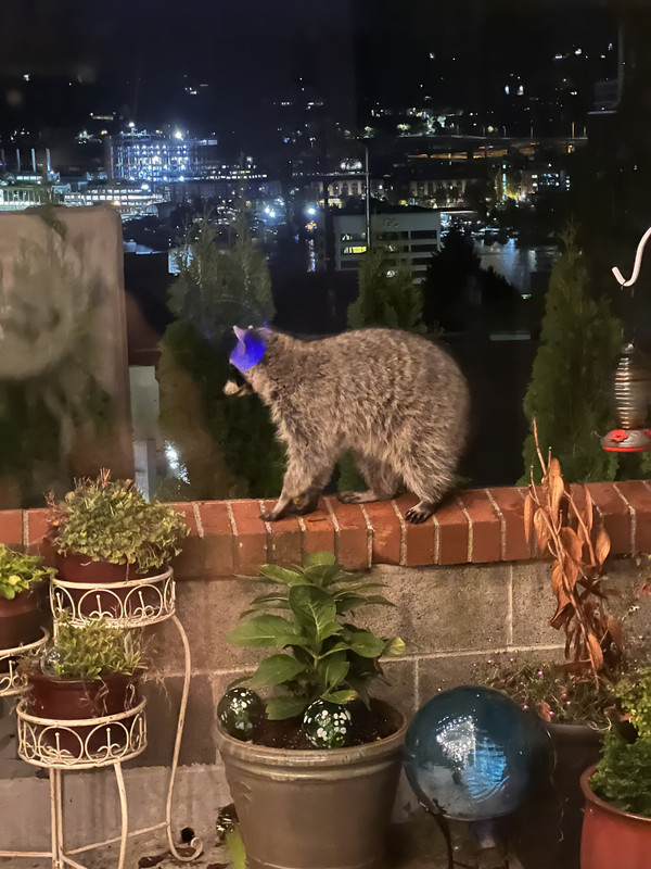 74354762-FCA1-4C2C-8D9C-29B8E3DD67B9