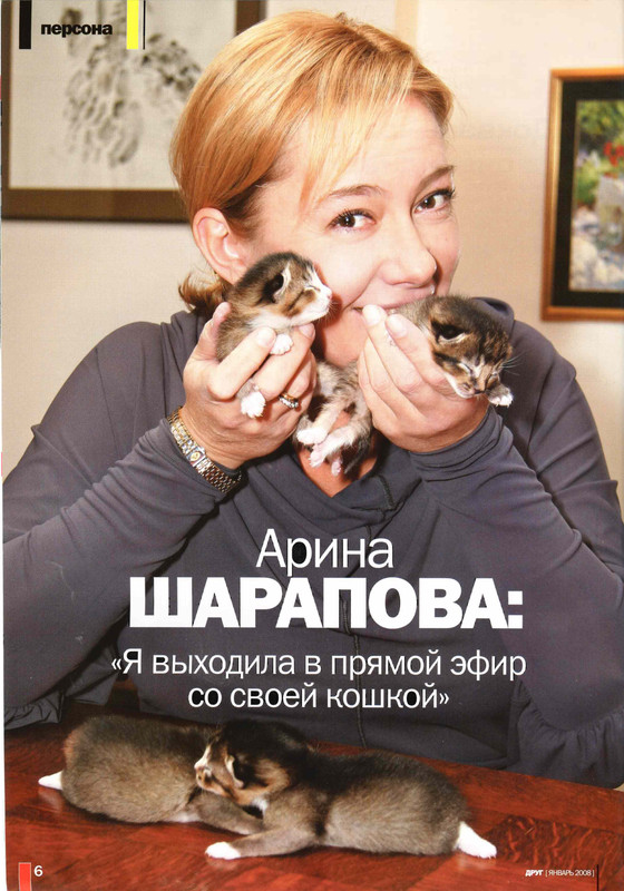 Друг кошек 2008-01-06