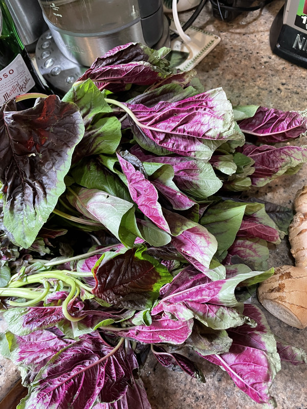 F30149DF-34E6-45F6-9406-3BB50F3A117D