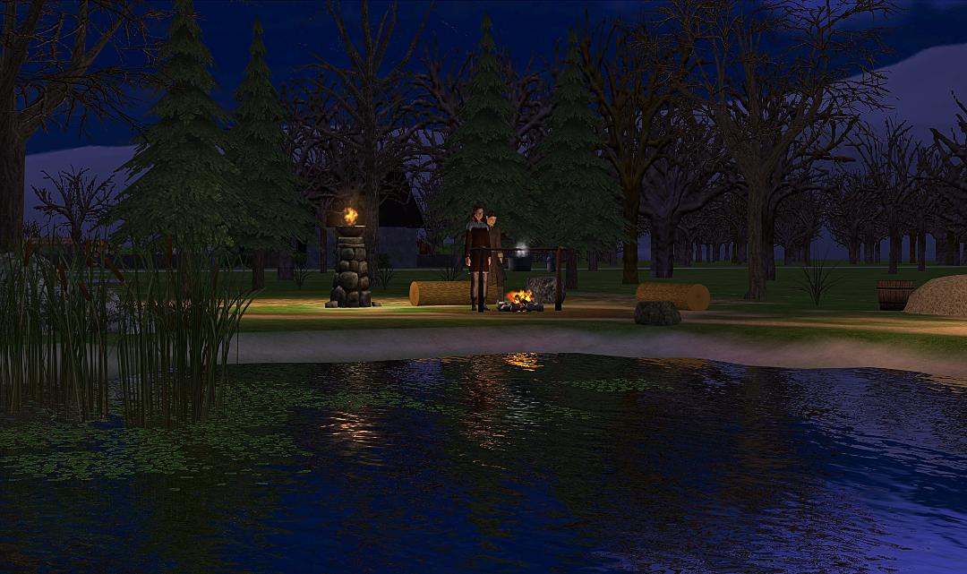 screenshot_2026_03_11_20_28