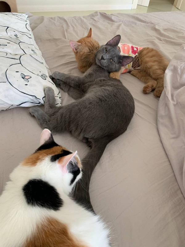 0B795822-DE24-4B8A-AD5B-2770290FE480