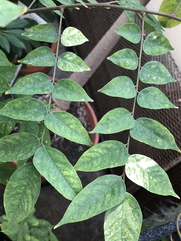 76D639B6-895D-45ED-89FF-8633E54712CF