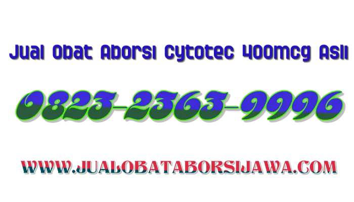 Beli obat aborsi