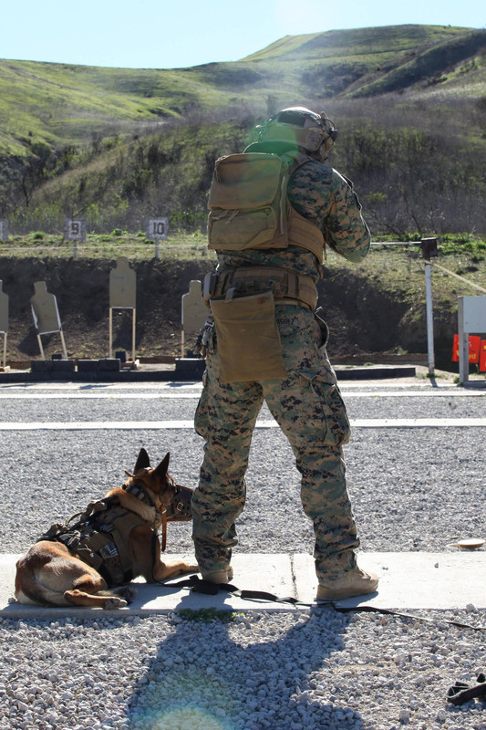 U.S. MARSOC multipurpose canine handlers1