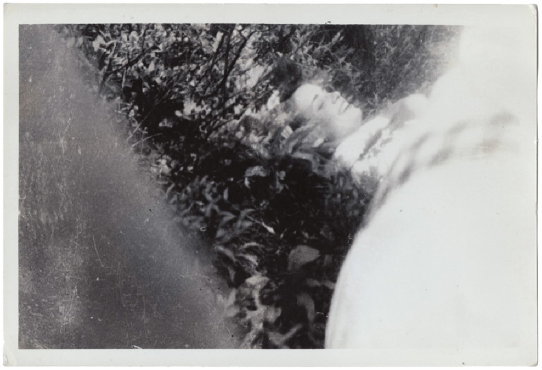 fig1new-1