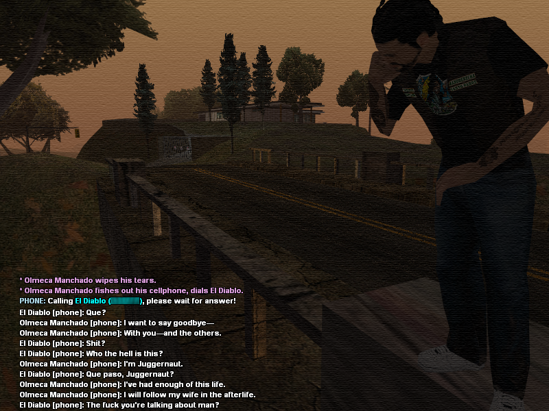 ssroleplay1213.png