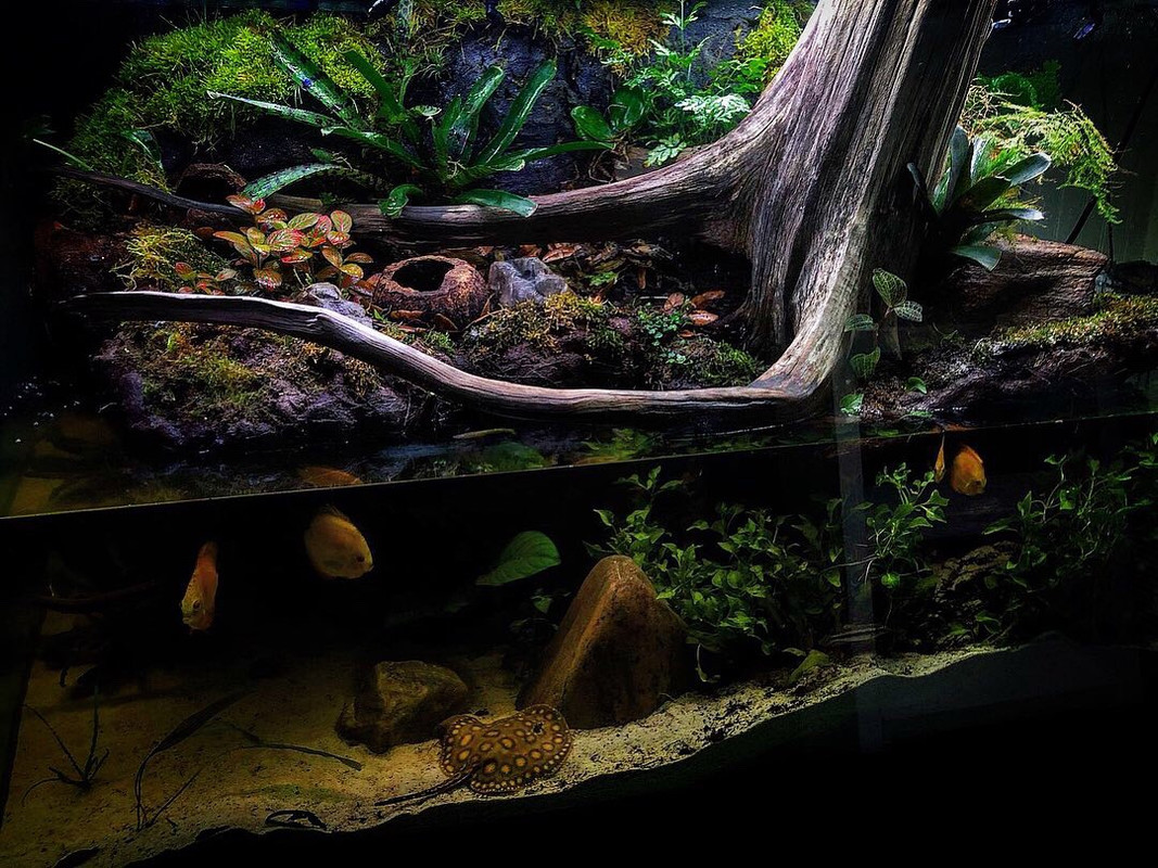 434E9FAD-0062-4B44-8A44-D0028C5309C7