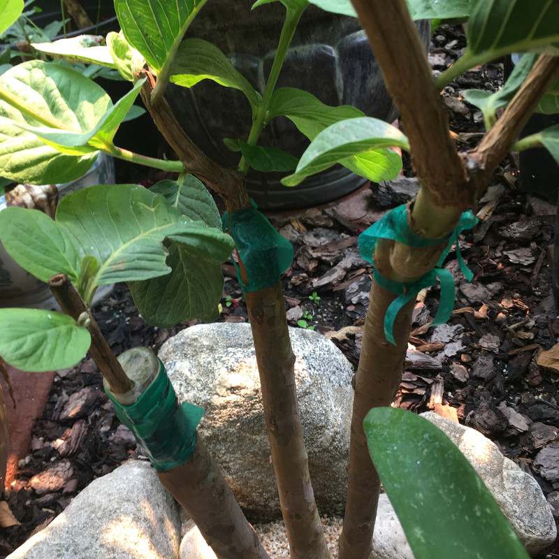 39328923-9AD0-4974-97AB-51016B21284B