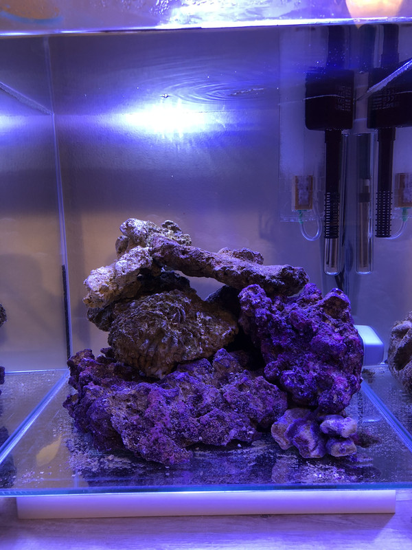 91C09C35-A2CF-4E81-B3E1-9ADE9633DCAB